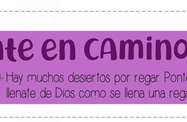 II Domingo de Adviento C